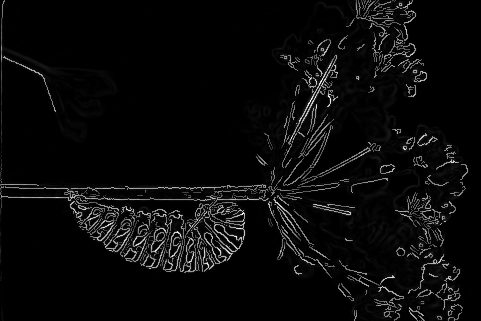 Sample Image 2 Edge Detection