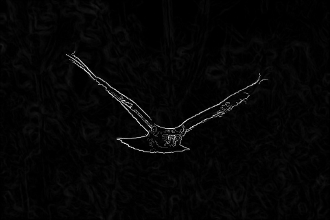 Sample Image 6 Edge Detection