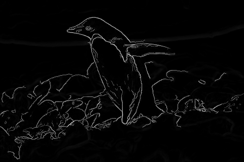Sample Image 7 Edge Detection