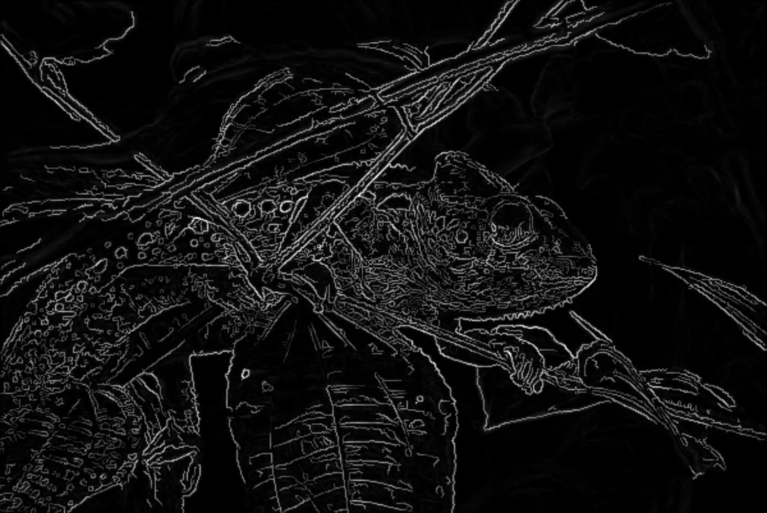 Sample Image camoflouge Edge Detection