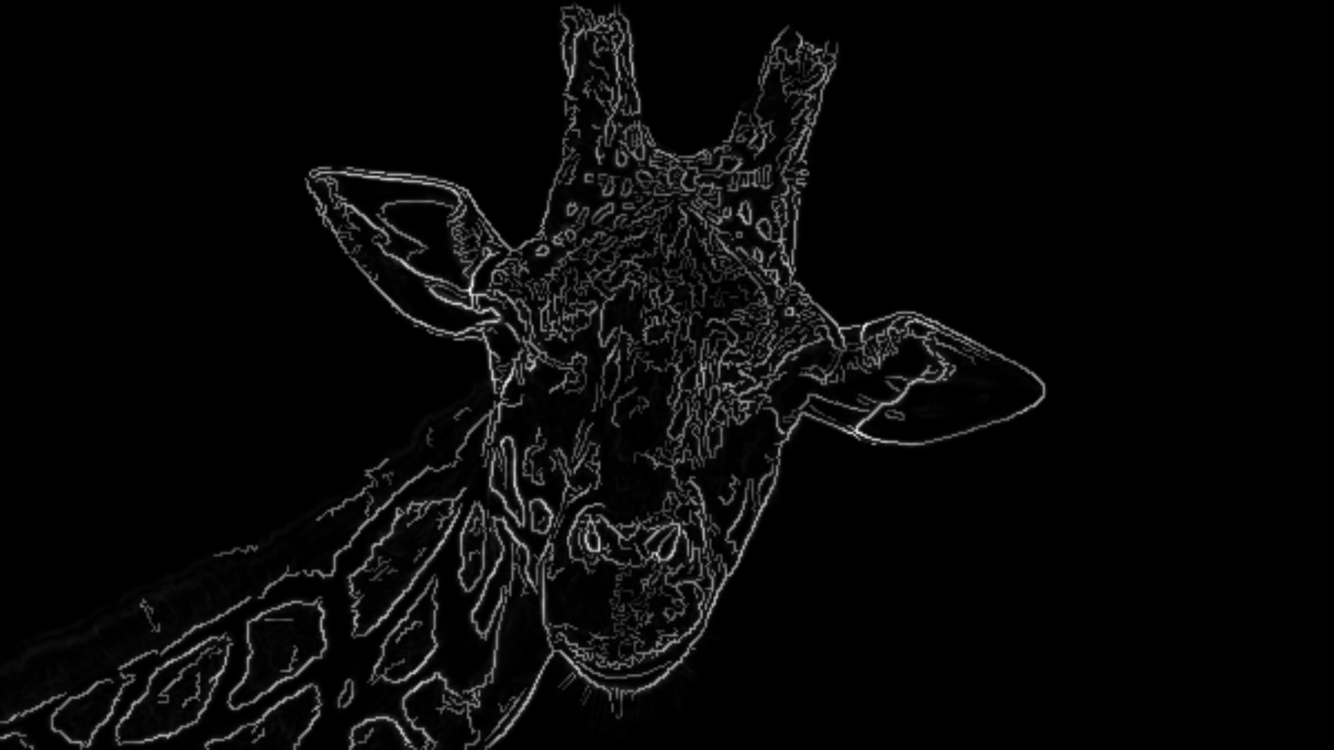 Sample Image trial Edge Detection